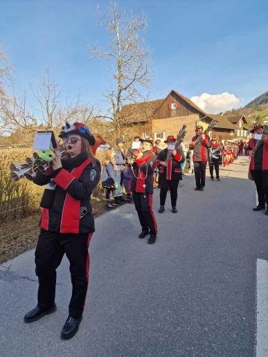 Umzug Dornbirn Haselstauen