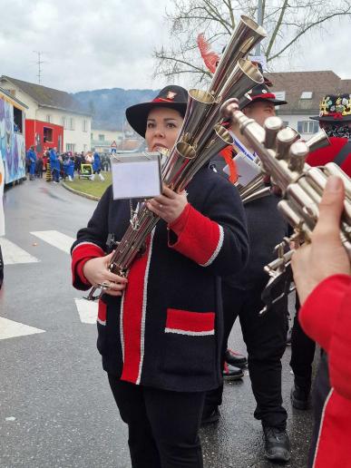 Eigener Umzug Lustenau